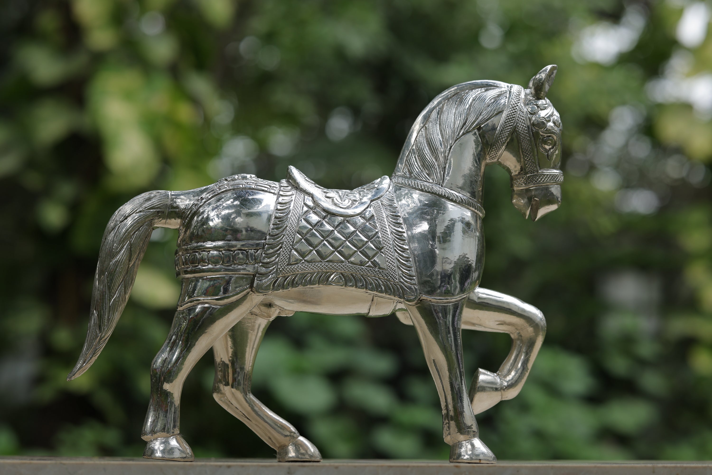 HORSE - ASHWA